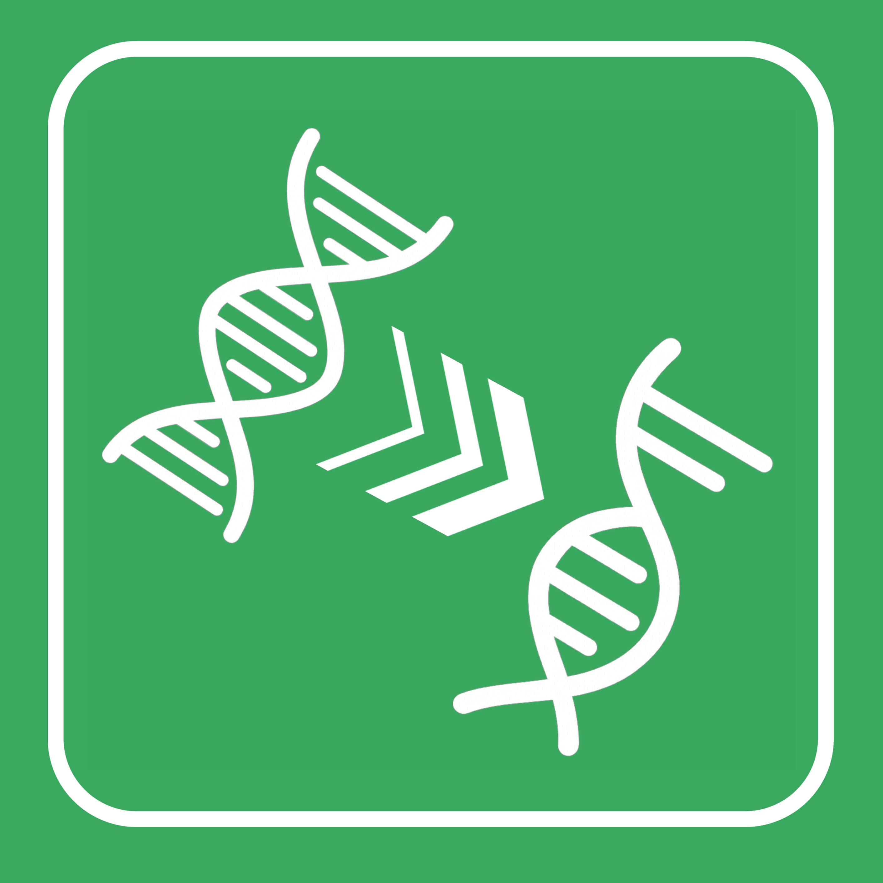 DNA to RNA Converter