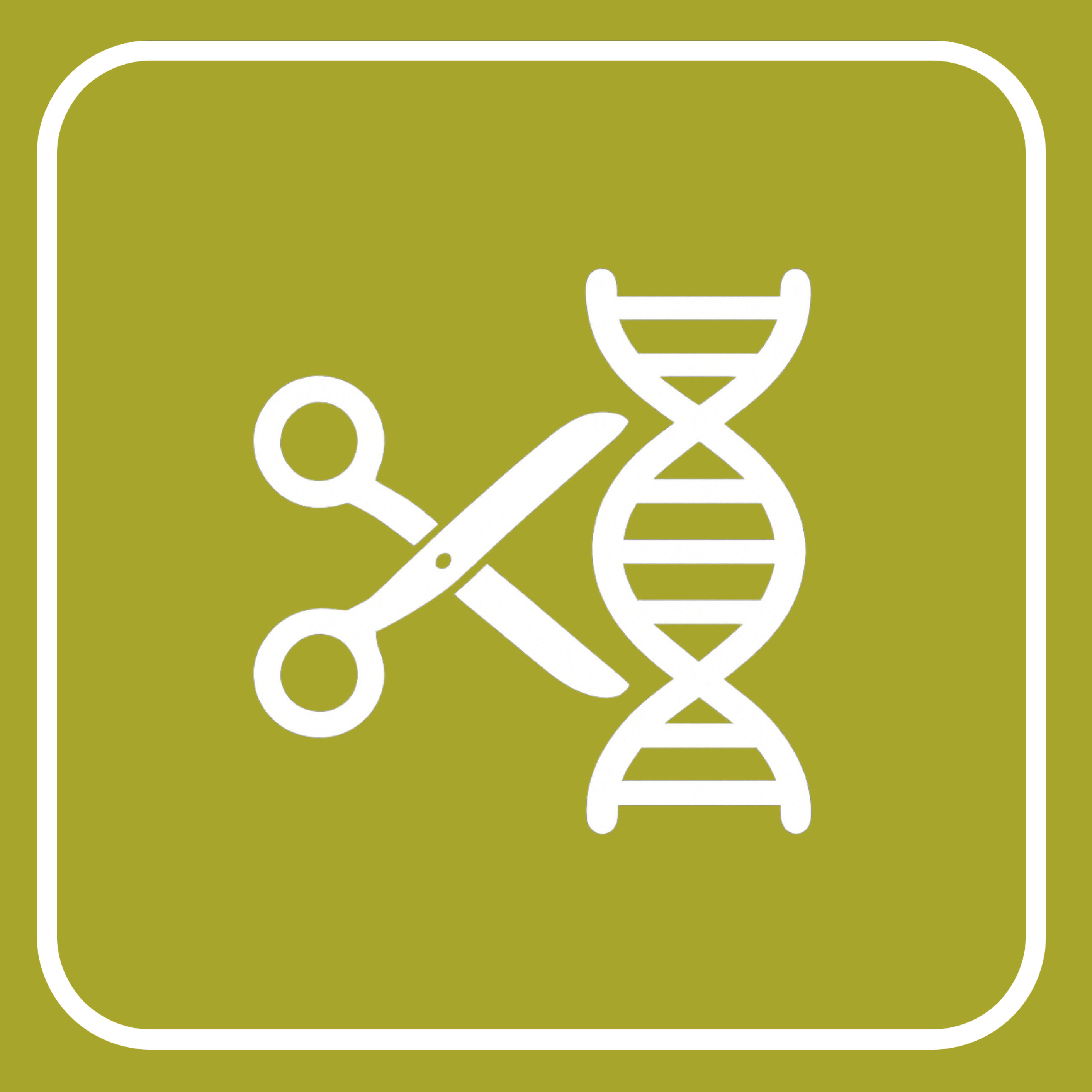 Restriction Site Finder