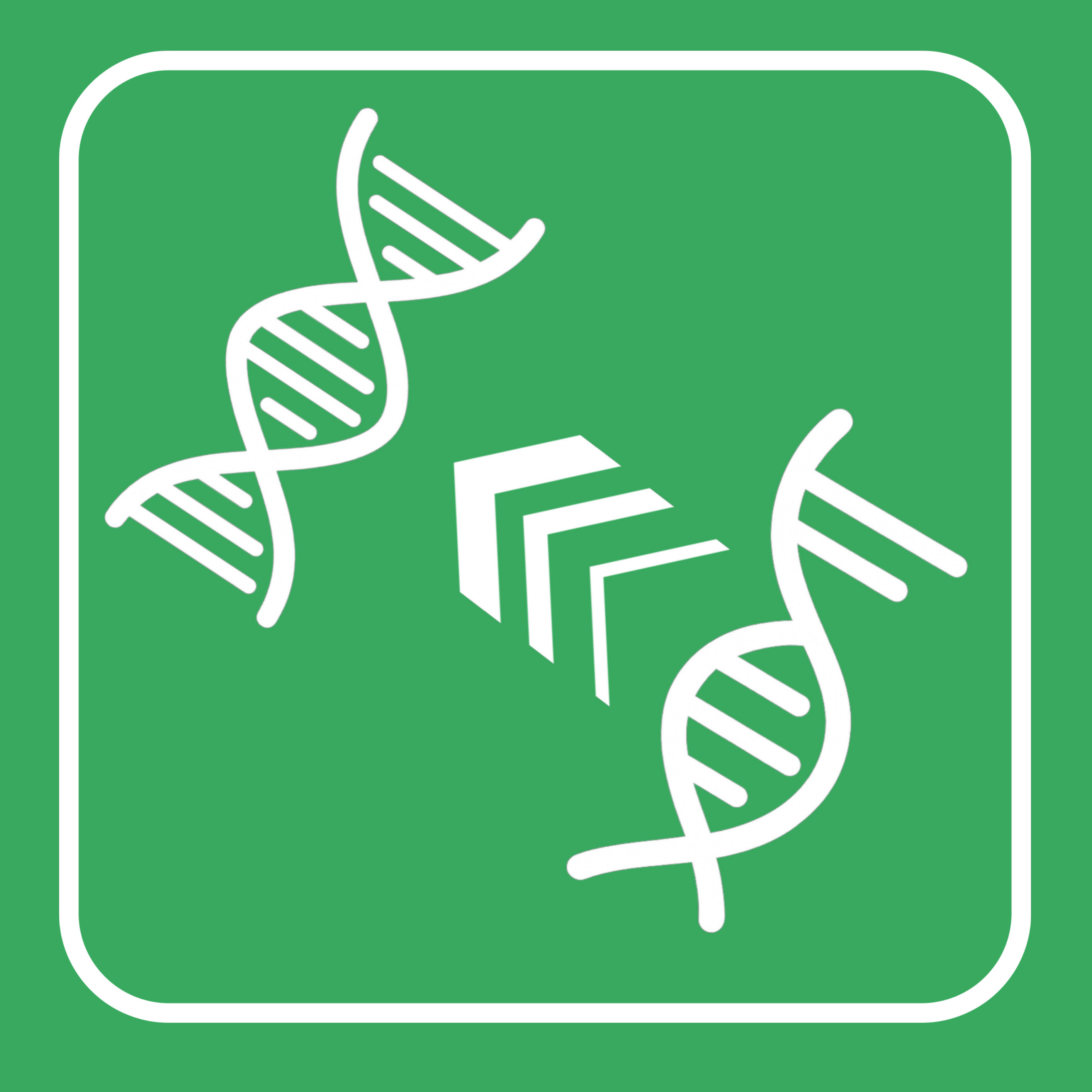 RNA to DNA Converter