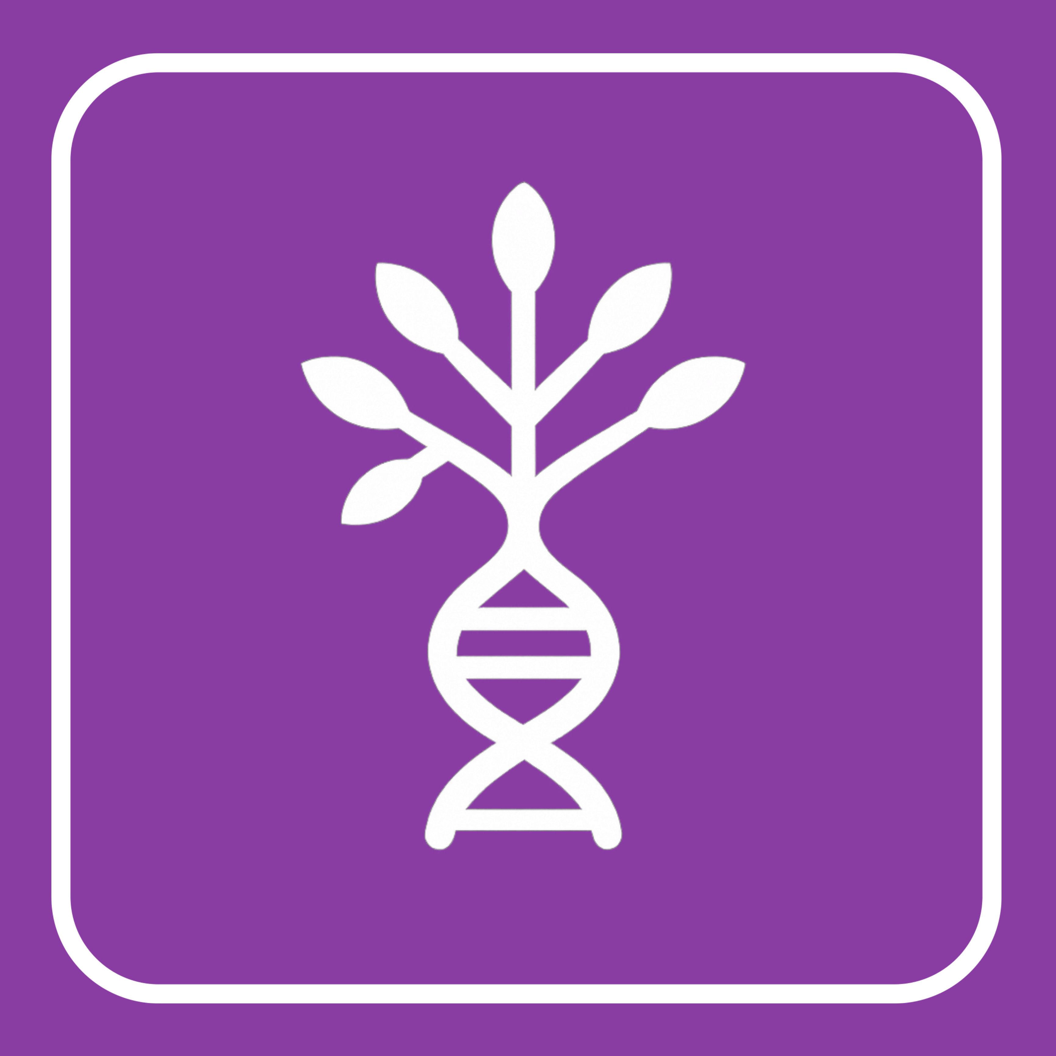 Phylogeny Tree Builder